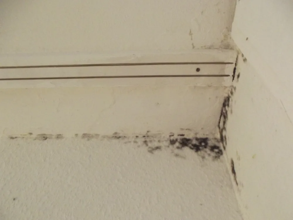 Technician in protective gear removing a mold-damaged wall in a Mc Donald home